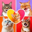 프로그램 아이콘: Grid Photo Collage - Foto…