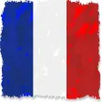 French Test A1 A2 B1  Grammar