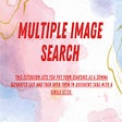 Multiple Image Search