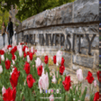 프로그램 아이콘: Cornell University MeaVan…