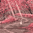 Icon of program: Cat Sakura Street Pixel L…