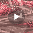 Icône du programme : Cat Sakura Street Pixel L…