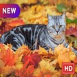 Icon of program: Cute animals New Tab Them…
