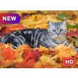 Cute animals New Tab Theme HD
