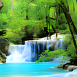 程序图标：Forest Nature Wallpaper H…