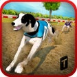Dog Race  Stunts 2016 icon