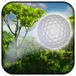 Forest Golf