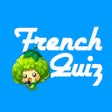 Programın simgesi: Game to learn French