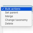 Icono de programa: Term Management Tools