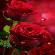 Ikona programu: Red Hearts Roses LWP