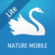 Programın simgesi: iKnow Birds 2 LITE
