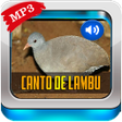 Symbol des Programms: Canto De Lambu Completo