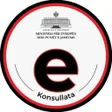 E-Konsullata icon