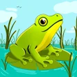 プログラムのアイコン：BioSnap - Animal Card Tra…