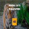 Ikon program: Bengal Cats Wallpaper HD …