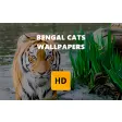 Bengal Cats Wallpaper HD New Tab Theme