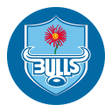 Programikon: Blue Bulls