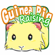 Programikonen: Lets raise a guinea pig