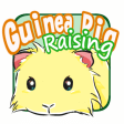 Lets raise a guinea pig