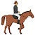 程序图标: horse
