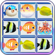 プログラムのアイコン：Fish Match Game