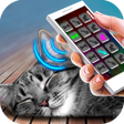 程序图标：Sleep Cat Simulator Joke