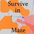 Survive in Maze