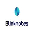 Programikonen: Blinknotes