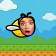 Programikonen: Flying Face IG