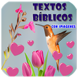 プログラムのアイコン：Textos Bíblicos con Imáge…