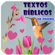 Textos Bíblicos con Imágenes