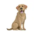 Brave Puppy : Dog Training Tool