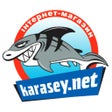 Ícone do programa: karasey.net