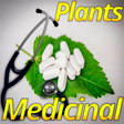 Icon of program: Medicinal Plants and its …