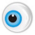Programikonen: RevEye Reverse Image Sear…