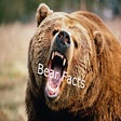 Programikonen: Bear Facts
