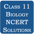 Class 11 Biology NCERT Solutions