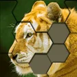 Programikonen: Jigsaw Hexa Puzzle  Block…