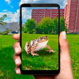 程序图标：Pocket Reptile