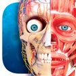 Иконка программы: Virtual Reality Human Bod…