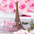 Lovely Theme Roses & Paris