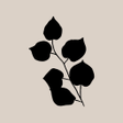 Icoon van programma: Presently: A Gratitude Jo…