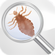 プログラムのアイコン：Lice Detector prank