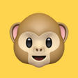 Programikonen: Sheet Monkey - Form Build…