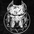 Biểu tượng của chương trình: American Pitbull Wallpape…