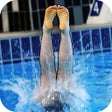 أيقونة البرنامج: DiveChamp