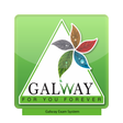 プログラムのアイコン：Galway Exam System
