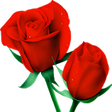 Programikonen: Roses Flowers Stickers fo…