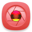 程序图标：Live Camera Streaming