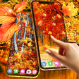 Biểu tượng của chương trình: Fall season live wallpape…